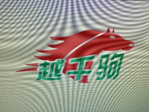 深圳市越千驹汽车服务有限公司